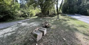 coupe de bois à Verville